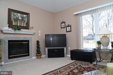 559 Blossom Trail, Mount Joy, PA 17552 - photo 5