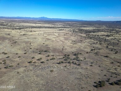 DJI_0007