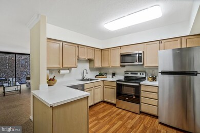 3111 Patrick Henry Dr unit 634, Falls Church, VA 22044 - photo 4