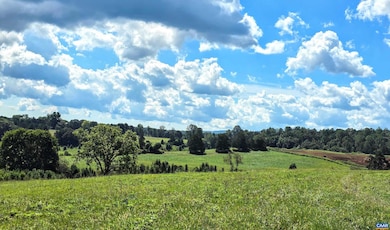 Lot B1 Moore Rd unit B1, Ruckersville, VA 22968 - photo 5