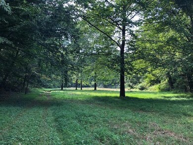 0 Walnut Dowler Rd, Logan, OH 43138 - photo 4