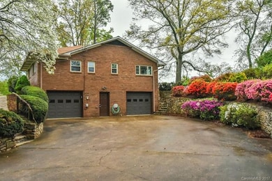 Basement, shrubs in bloom