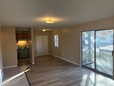 1119 S Curtis Ave unit A1, Kankakee, IL 60901 - photo 3