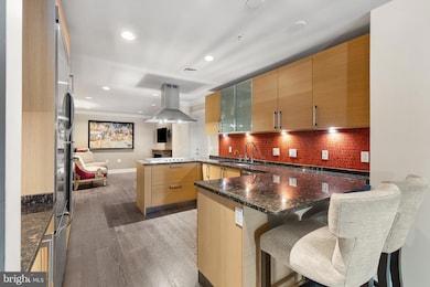 The Ritz-Carlton Residences, Baltimore, MD 21230 - photo 5