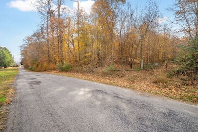 0 Upper Standing Rock Rd unit RTC3048870, Dover, TN 37058 - photo 5