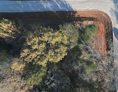 491 Reflection Bay Blvd, Gordonville, TX 76245 - photo 3