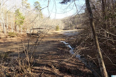 LOT # 9 Harbour Point Dr unit 9, Delta, AL 36258 - photo 2