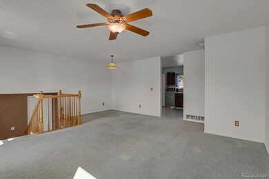 4125 E 109th Place, Thornton, CO 80233 - photo 6