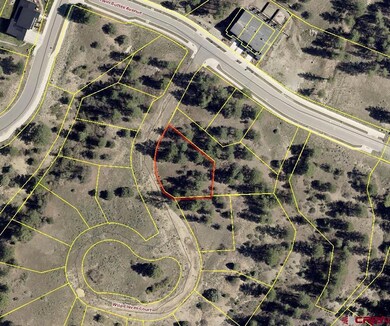 63 Wild Chives Court (Lot 117), Durango, CO 81301 - photo 2