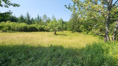 2068 Morgan Charleston Rd, Morgan, VT 05853 - photo 4