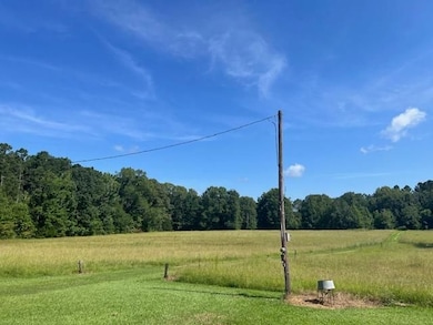 Violet Rd, Pattison, MS 39144 - photo 5