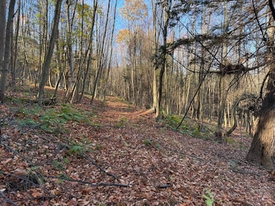 New Millport Rd, Clearfield, PA 16830 - photo 4