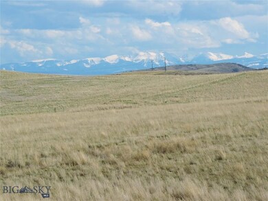 Area Views