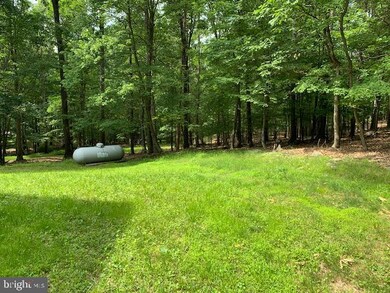 836 Live Oak Ln, Great Cacapon, WV 25422 - photo 4