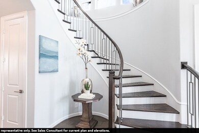 16225 Flatlands Way, Celina, TX 75009 - photo 3