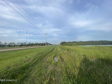 0 Lewis Ln unit 24219131, Starkville, MS 39759 - photo 6