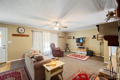 205 Sunrise Ridge Dr, Hendersonville, NC 28792 - photo 5