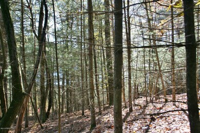 81 Covered Bridge Dr, Hawley, PA 18428 - photo 3