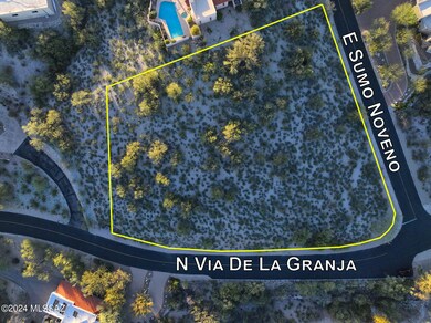 3930 E Sumo Noveno, Catalina Foothills, AZ 85718 - photo 2