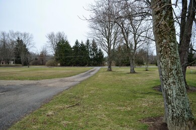 DSC_0011