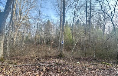 Lot 2 Radford Rd, East Bernstadt, KY 40729 - photo 4