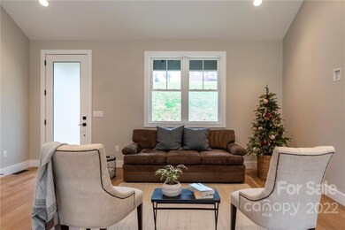 322 Gouges Branch Rd, Leicester, NC 28748 - photo 5