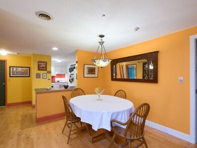 159 Concord Ave unit 4A, Cambridge, MA 02138 - photo 4