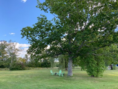 Front Lawn