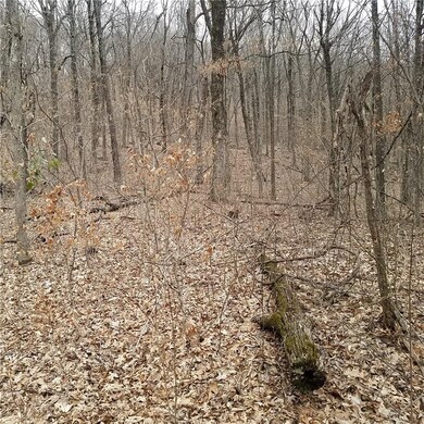 0 23 89 Ac Cr 4099 unit 1107420, Crosses, AR 72727 - photo 2