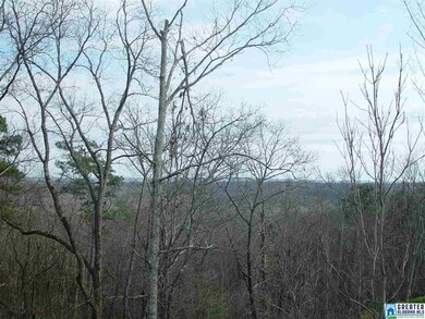 From the back balcony porch you can see all the wa