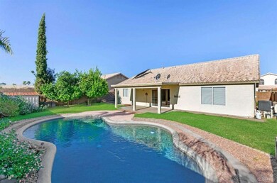 POOL, grassy area, fruit trees covered p