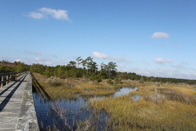 105 Calcos Ct, Stump Sound, NC 28445 - photo 4