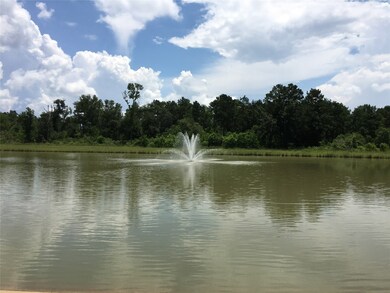 31111 Roanoke Woods Dr, Tomball, TX 77375 - photo 5