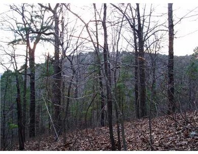 0 Cr 558 unit 652970, Colcord, OK 74338 - photo 4