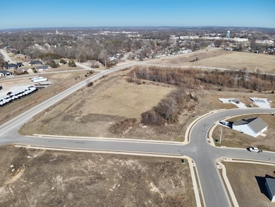 DJI_20250128152402_0009_V