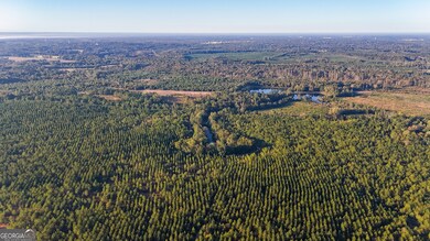 0 Buckeye Rd unit 10650376, East Dublin, GA 31027 - photo 4