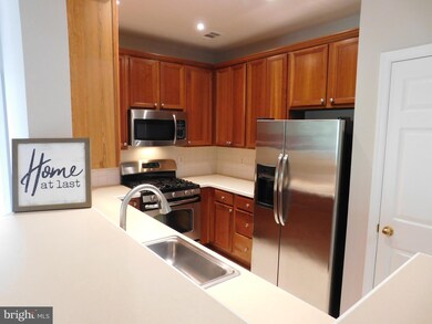 11315 Westbrook Mill Ln unit 303, Fairfax, VA 22030 - photo 6