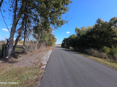 000 Par Road 3-75-10, Arnaudville, LA 70512 - photo 5