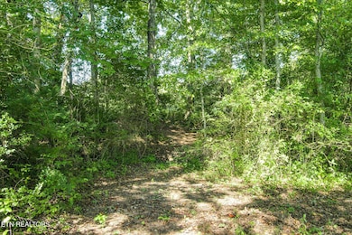 Trail up the hill