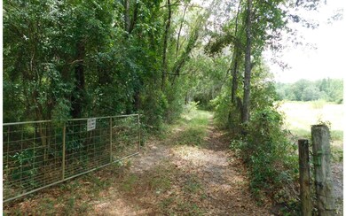 0 Us Hwy 441 N unit 108557, Lake City, FL 32055 - photo 2