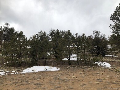 133 Joyce Ln, Hartsel, CO 80449 - photo 6