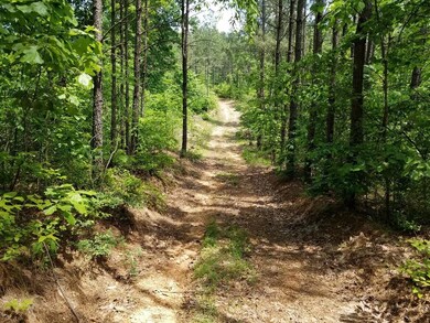 0 Hurricane Creek unit 1931811, Linden, TN 37096 - photo 6