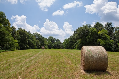 0 Bear Creek Pike unit RTC2819507, Columbia, TN 38401 - photo 7