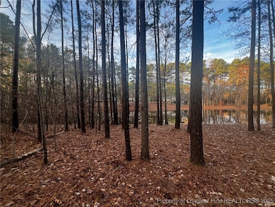 2198 Cleveland Cir, Sanford, NC 27332 - photo 4