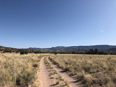 Lots 4&5 Santa California Subd, Medanales, NM 87510 - photo 6
