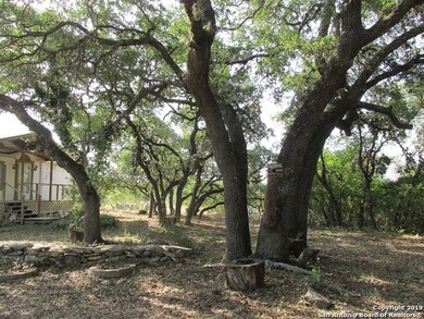 3641 Private Road 2412, Hondo, TX 78861 - photo 3