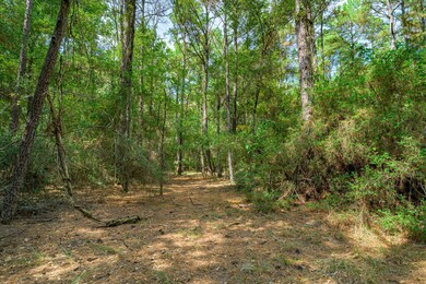 17526 E Terrace Oaks Dr, Waller, TX 77484 - photo 5