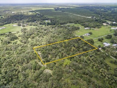 17861 Cypress Creek Rd, Alva, FL 33920 - photo 3
