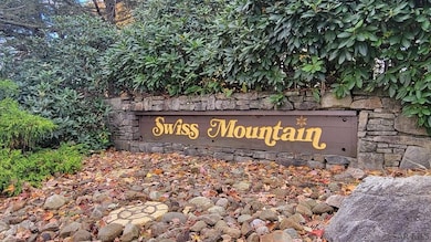 2806 Swiss Mountain Dr, Champion, PA 15622 - photo 2