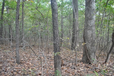 3506 Sawmill Rd, Caddo, OK 74729 - photo 6